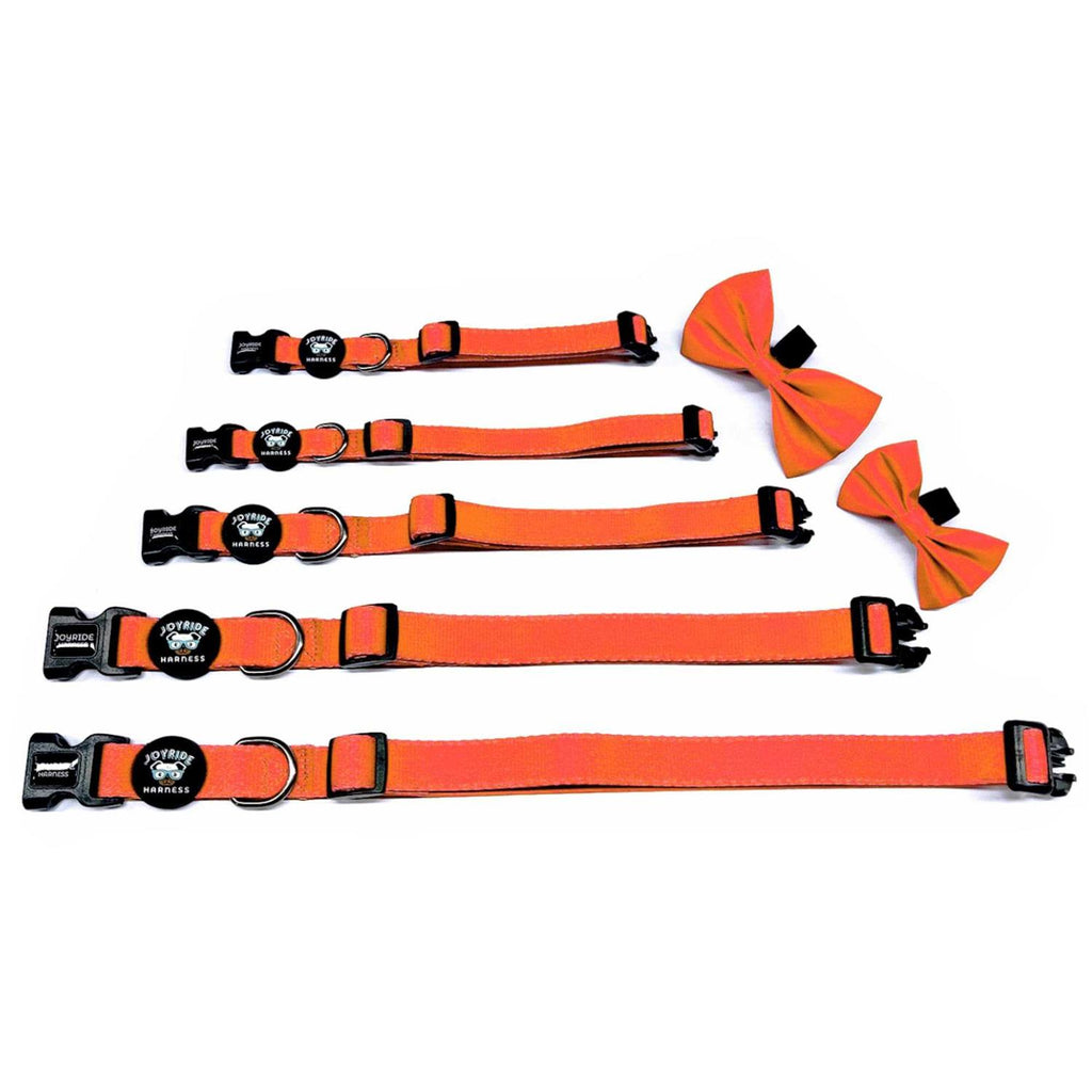 Dog Collar with Removable Bow Tie R573