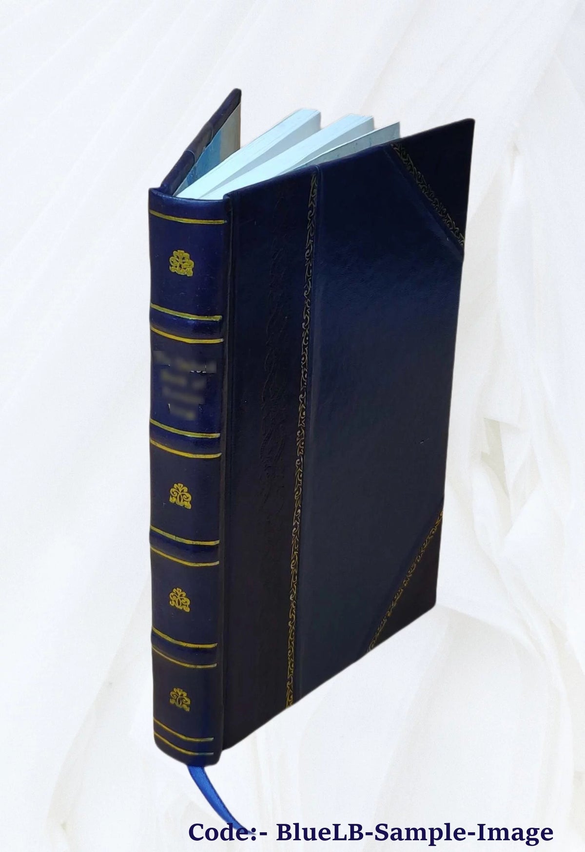 Ewe French Vocabulary Leather Bound V8031