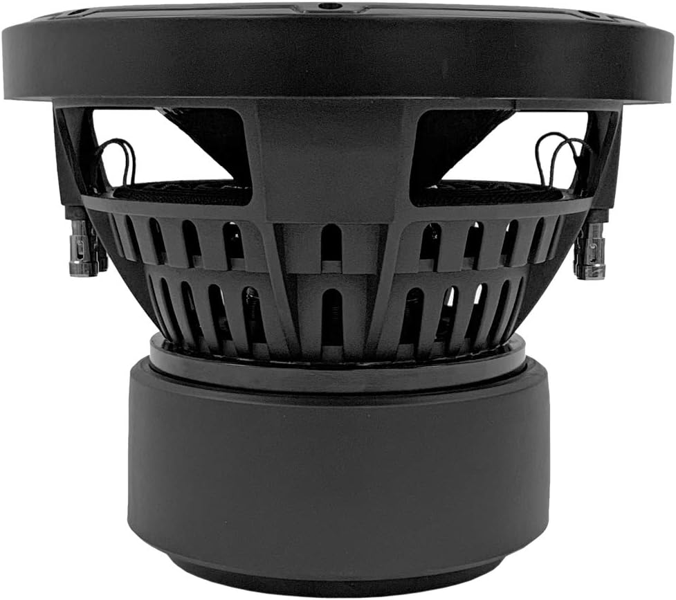 10 Inch Dual 2 Ohm Car Audio Subwoofer Q114414