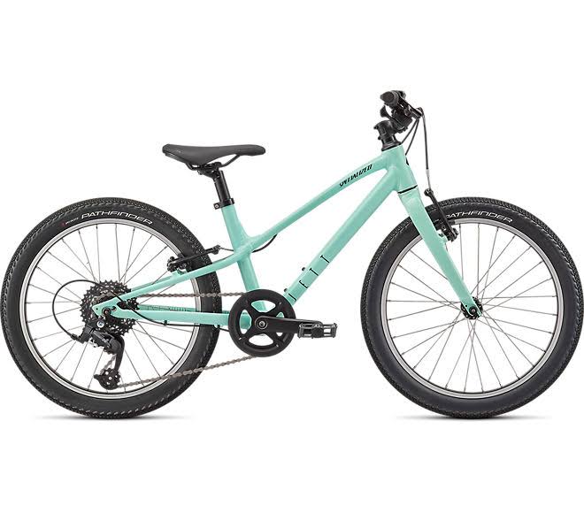 Gloss Oasis Forest Green 20 Bike E42797