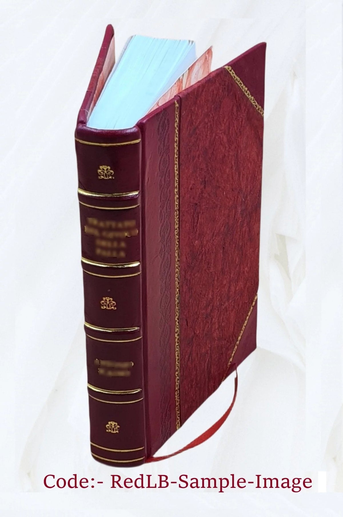 Ewe French Vocabulary Leather Bound V8031