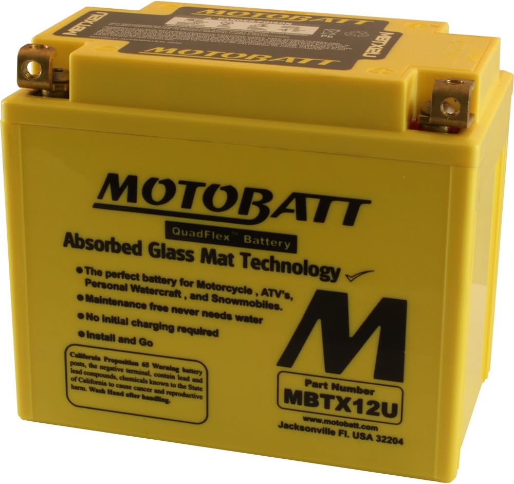 12V 14 Amp 200CCA AGM Battery Y9741