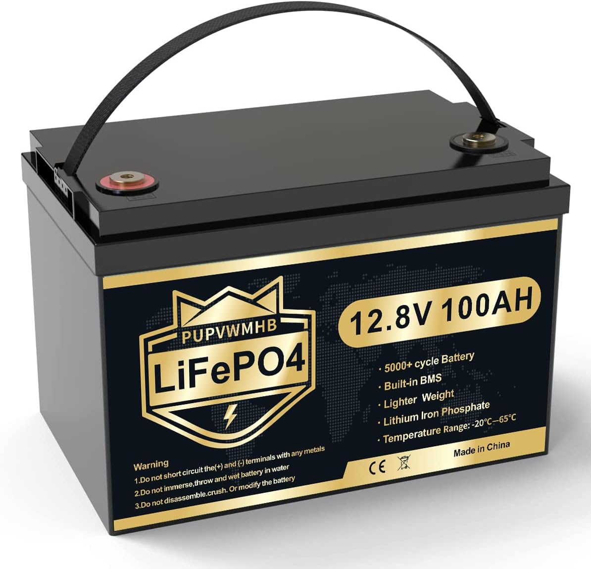 12V 100Ah LiFePO4 Battery with 100A BMS G582