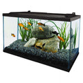 10 Gallon Glass LED Aquarium Kit O25119