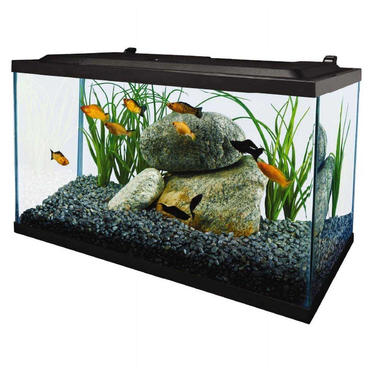 10 Gallon Glass LED Aquarium Kit O25119