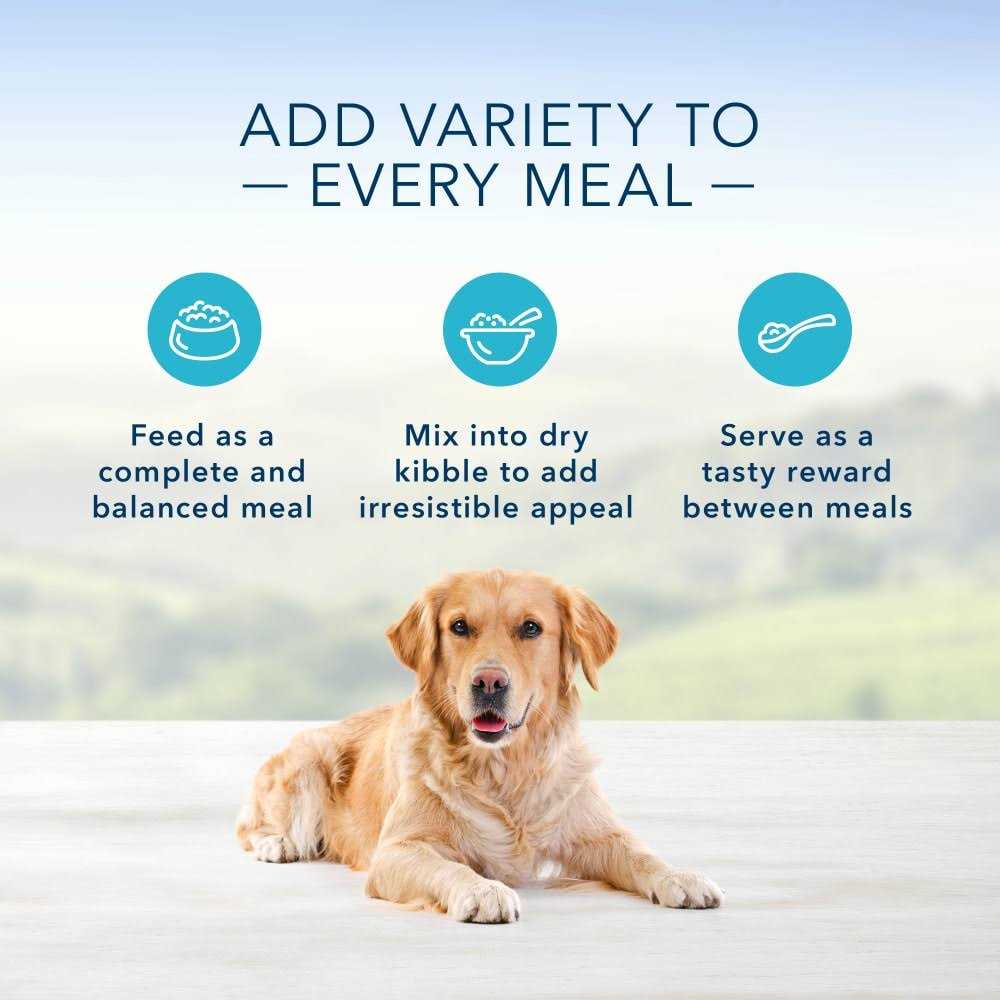 Turkey Meatloaf Dinner Wet Dog Food W7115