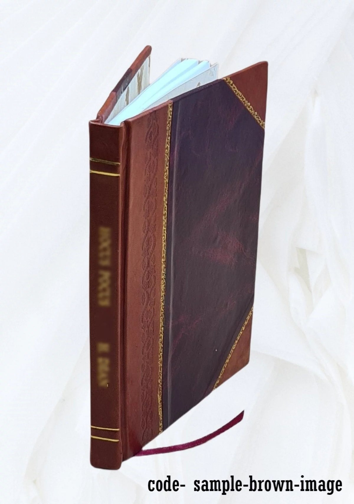 Liver Complaints and Bilious Disorders Leather Bound A713522