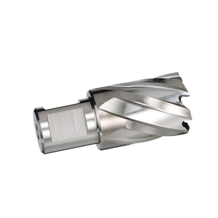 1-1/16x22 x 2x22 Carbide Tipped Annular Cutter S983