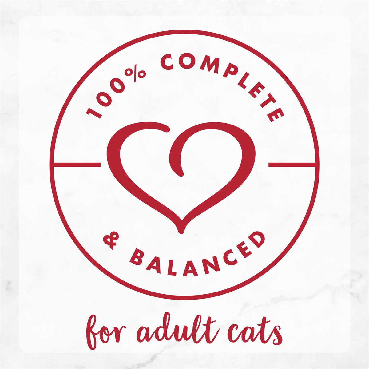 Beef & Chicken Pate Cat Food Y875
