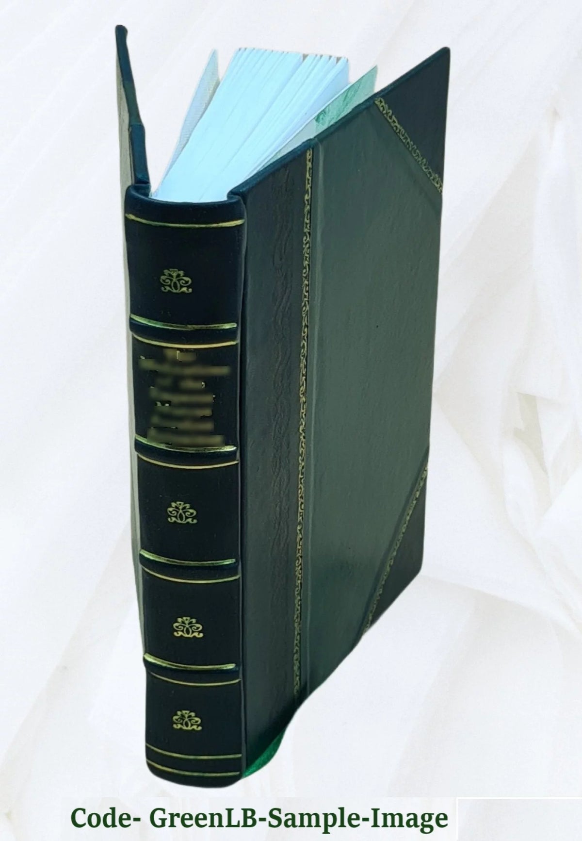 Ewe French Vocabulary Leather Bound V8031